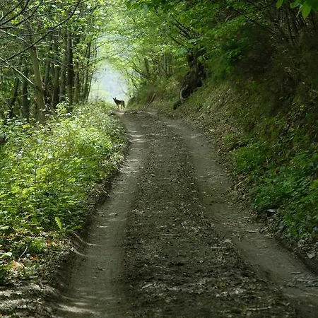 Rurales La Estacion アパート Collanzo