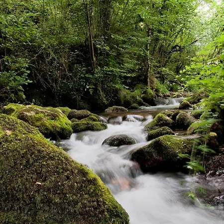 アパート Rurales La Estacion Collanzo